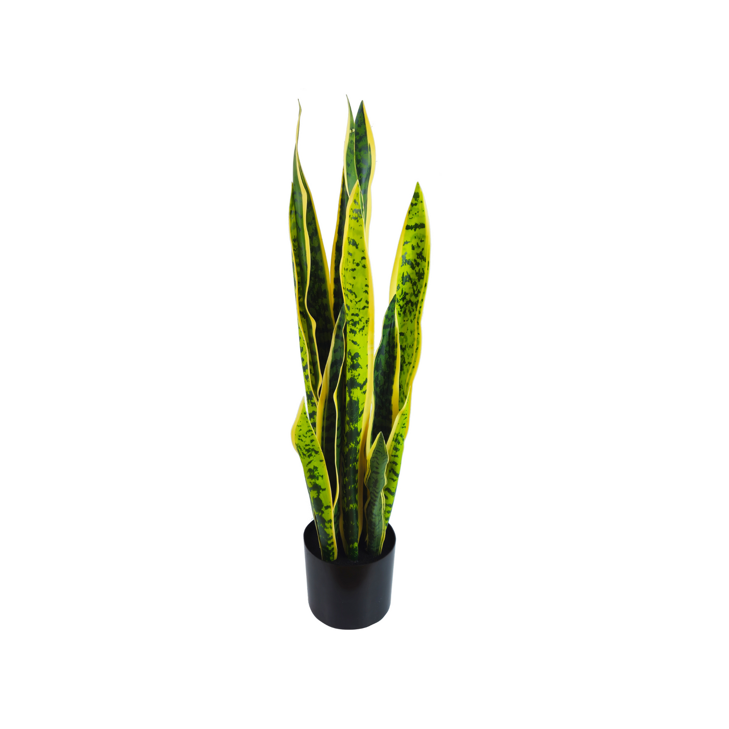 Pianta artificiale per interno Sanseveria cm 65 bicolor con vaso in ceramica
