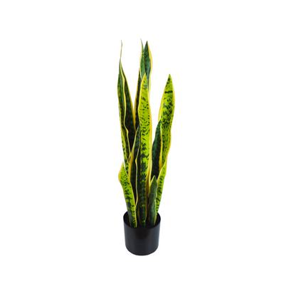 Pianta artificiale per interno Sanseveria cm 65 bicolor con vaso in ceramica
