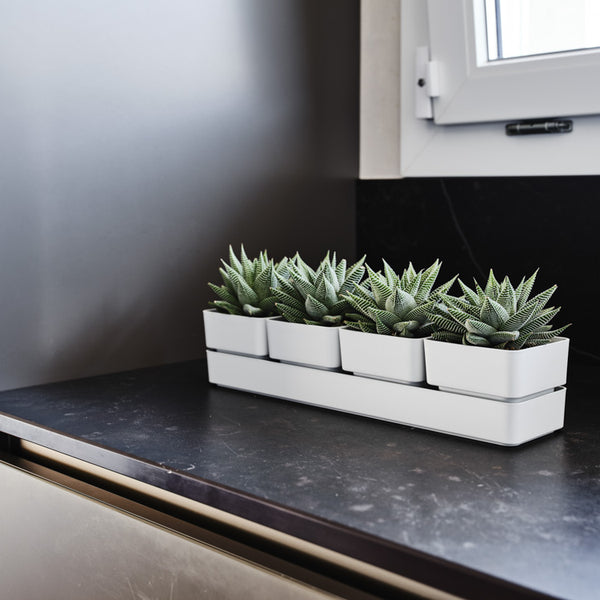 YUMILI Vasi da Fiori, Vasi per Piante, Vasi da Fiori Piccoli, Vasi Quadrati, Confezione da 20 Mini Vasi Moderni per Piante Grasse Piccoli Contenitori in Plastica Scrub Vasi Quadrati (Bianco