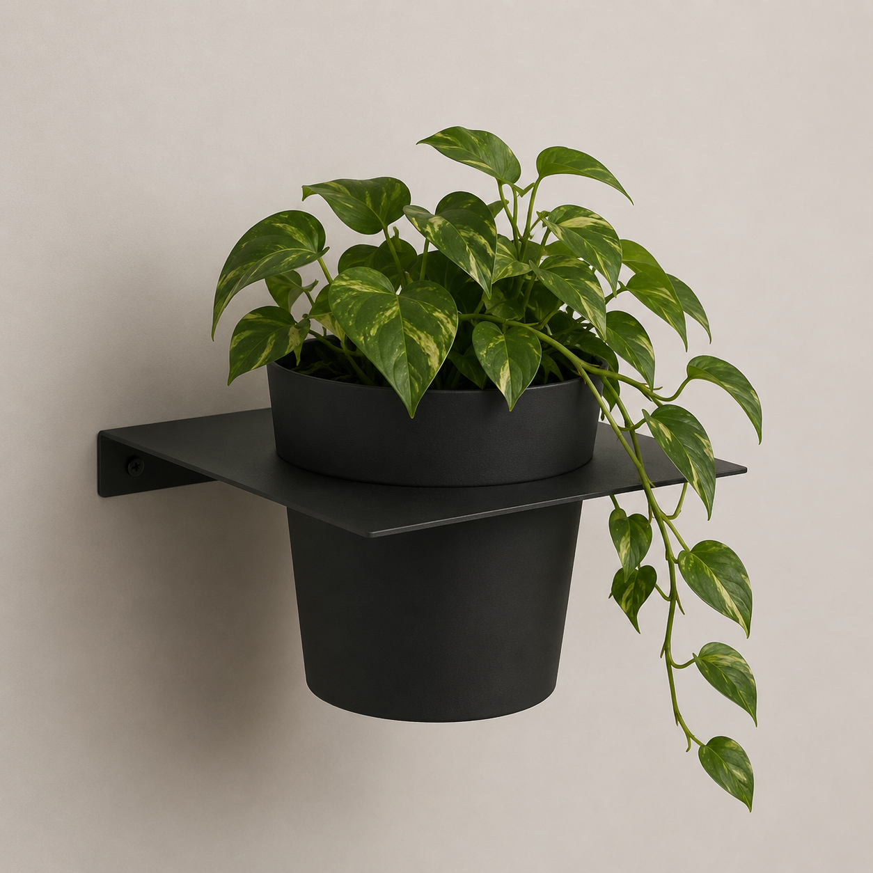 Tecnokit Porta Vasi da Muro in Metallo con Vaso – Design Moderno Made in Italy