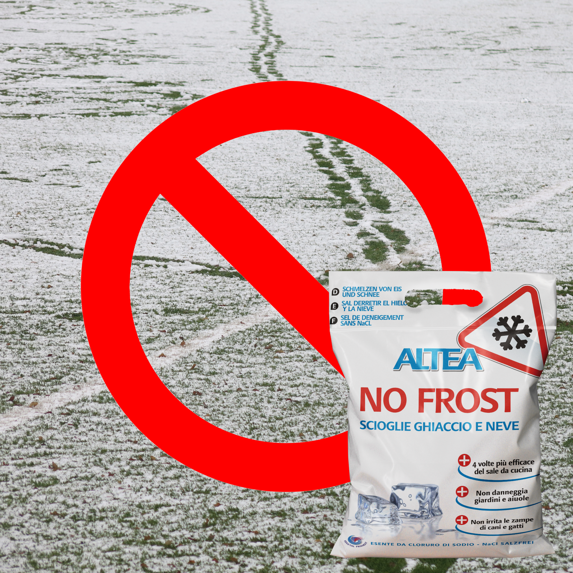 Altea No Frost per ghiaccio e neve 5kg
