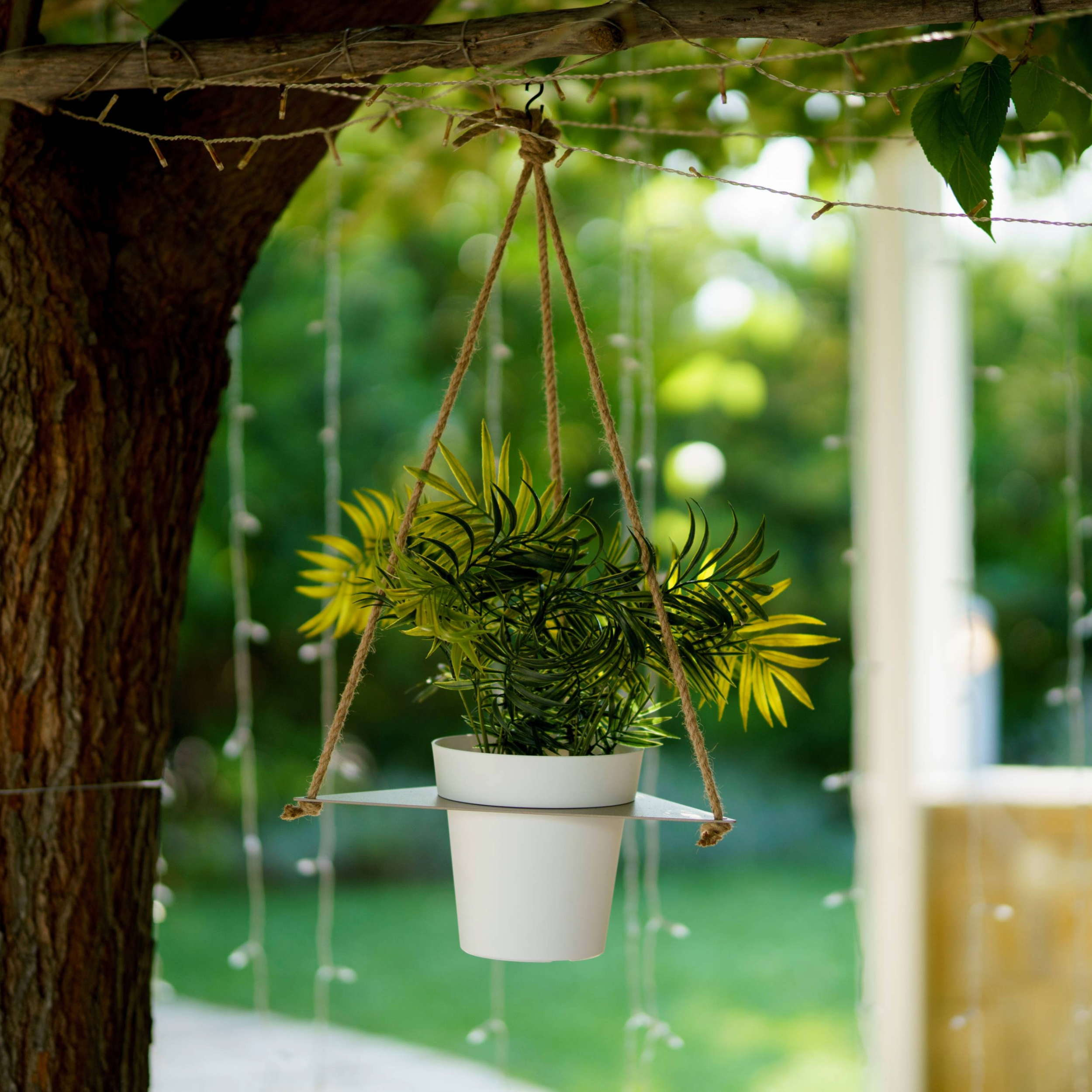 Tecnokit Porta vasi sospesi per aromatiche con vaso cm 16 incluso