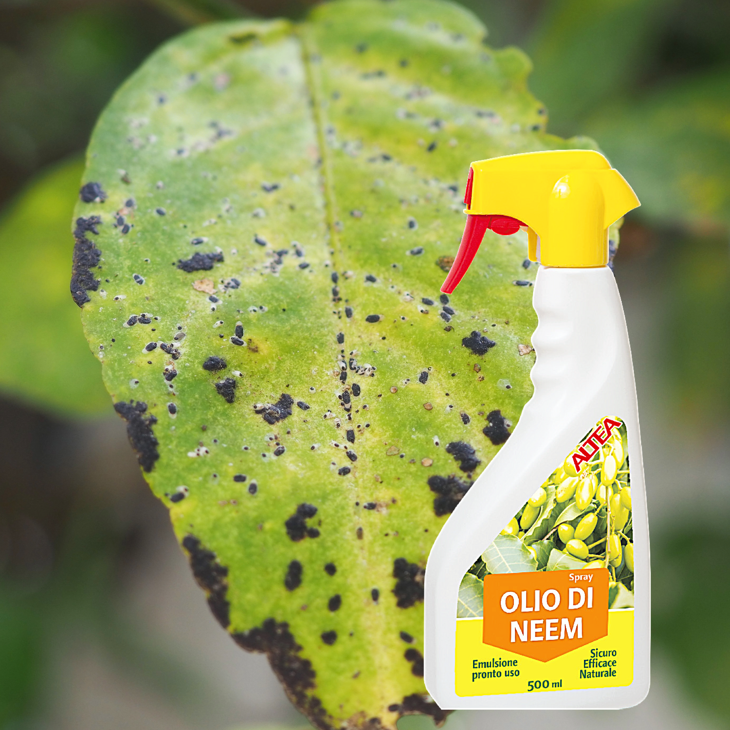 Altea olio di neem spray 500 ml