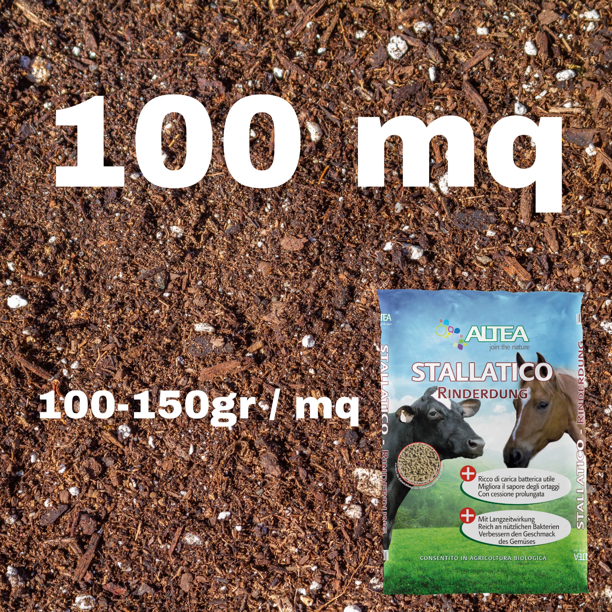Altea Stellatico 100 mq