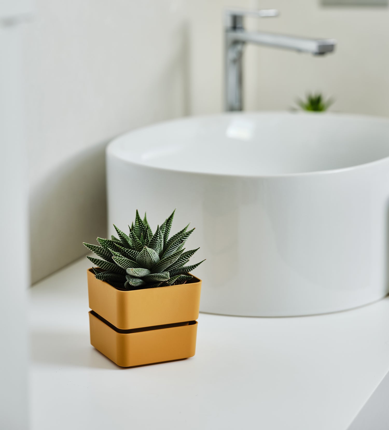 vasi plastica per orto, vasi d arredo interno