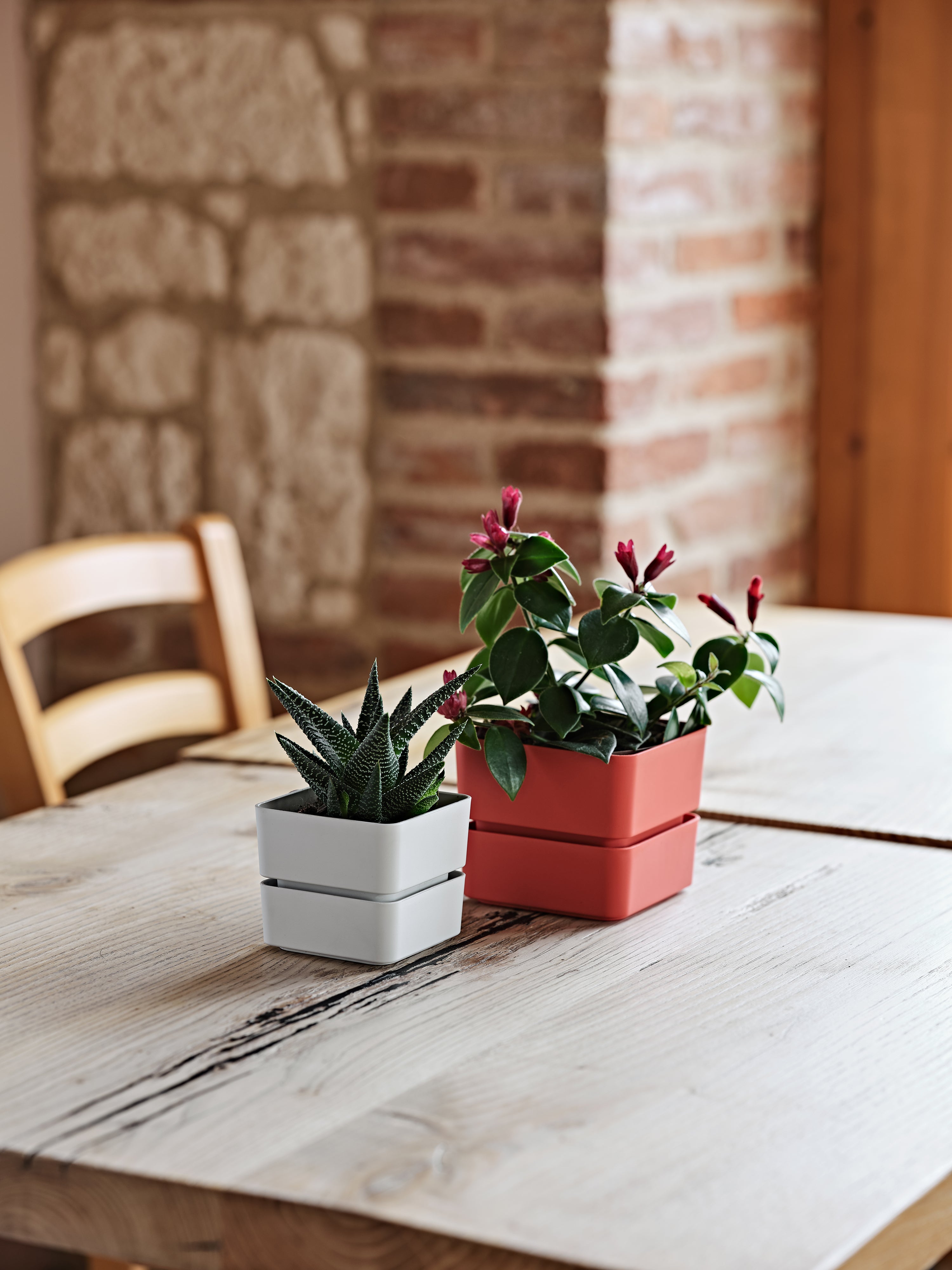 vasi plastica per orto, vasi d arredo interno