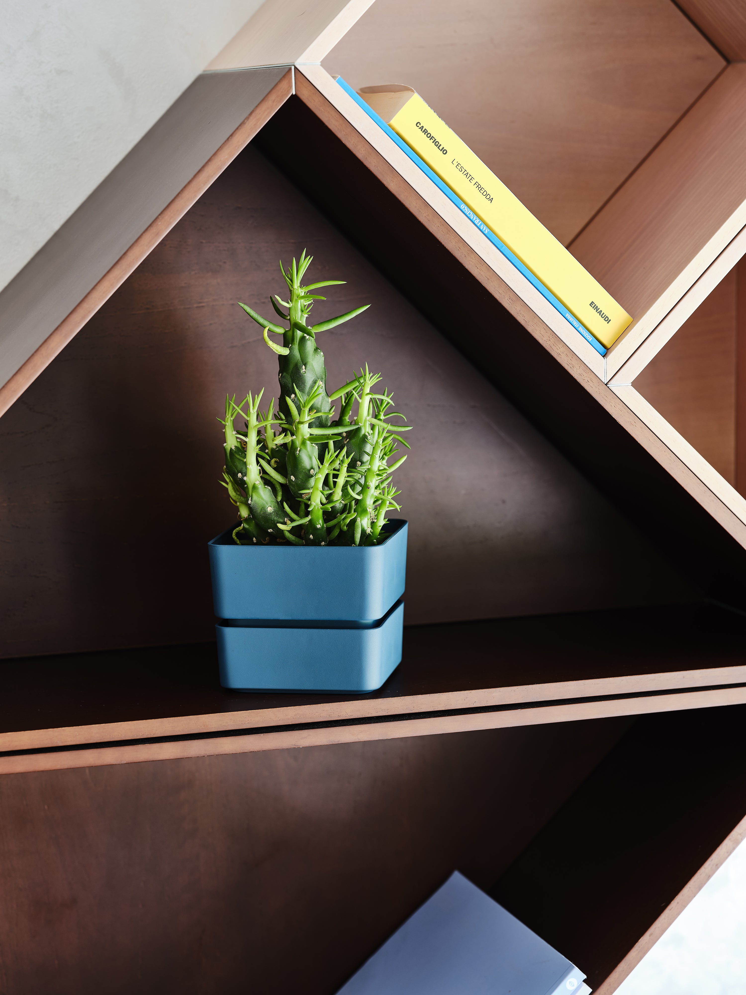 vasi plastica per orto, vasi d arredo interno