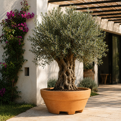 Monacis Ursus 120 cm – Vaso Grande in Resina da 550 Litri
