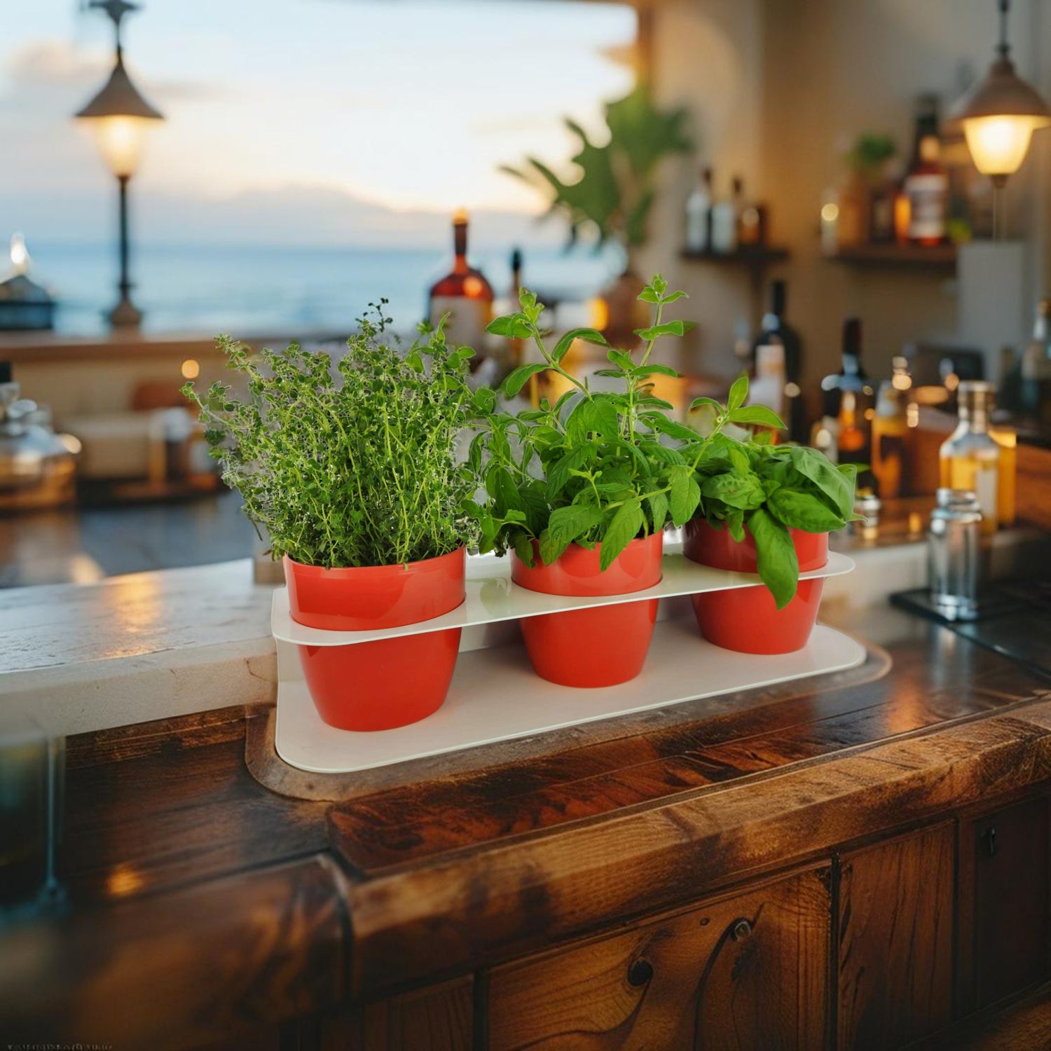 Porta piante aromatiche in metallo cm 58x18x10 da bancone e muro vasi inclusi