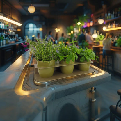 Porta piante aromatiche in metallo cm 58x18x10 da bancone e muro vasi inclusi