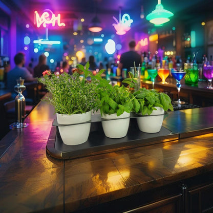 Porta piante aromatiche in metallo cm 58x18x10 da bancone e muro vasi inclusi