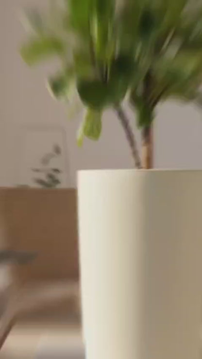 Erba Vaso Alto Musa Matt – Design Moderno per Interni ed Esterni