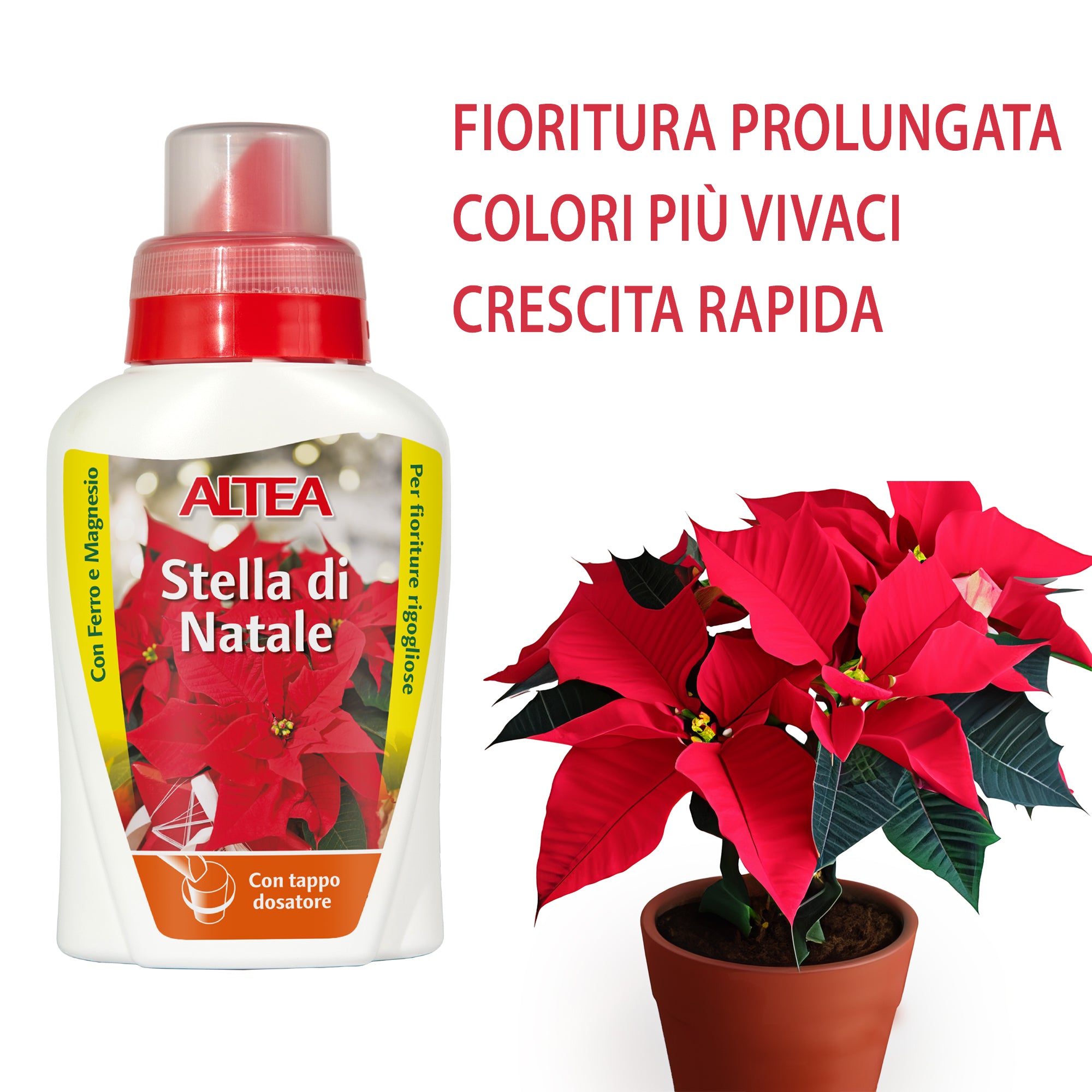 Concime Liquido Per Stella Di Natale Altea - 300 G, Prolunga La Fioritura - Foto 8