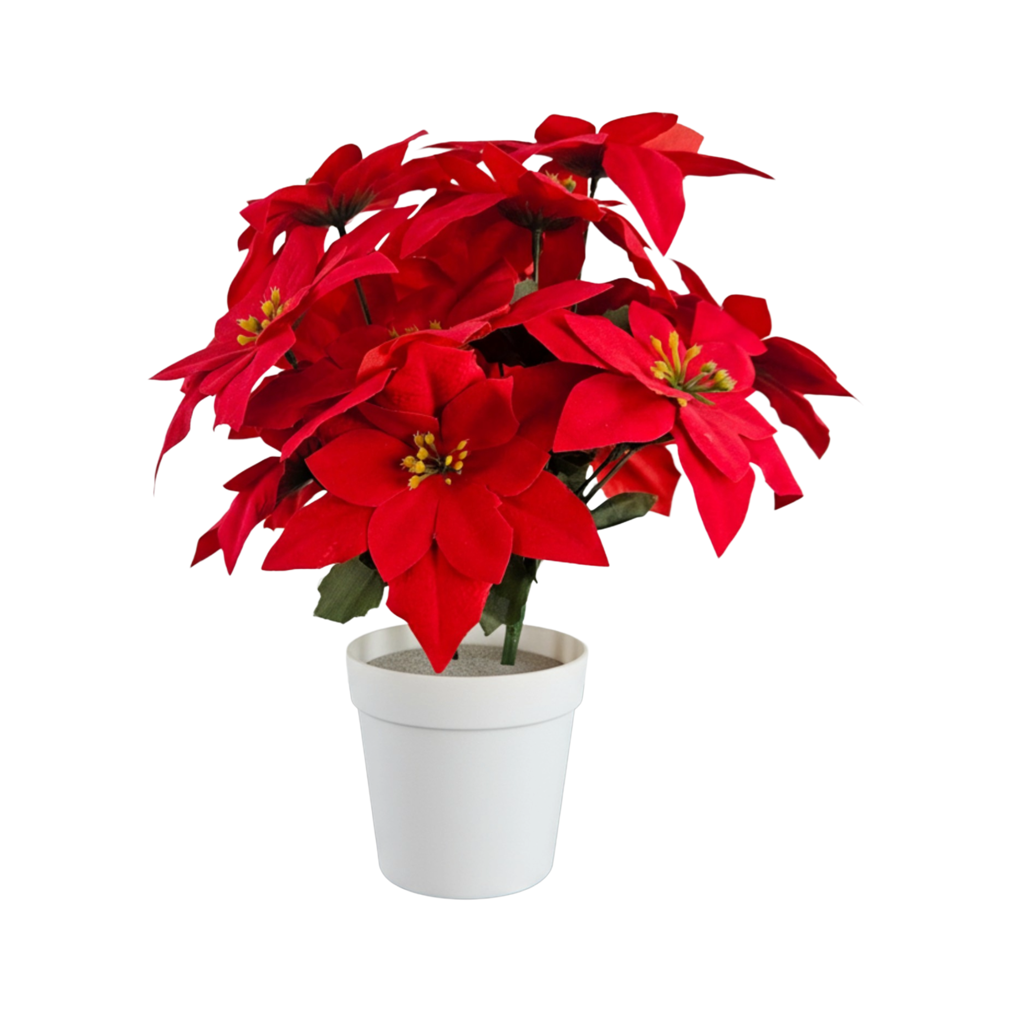 Pianta Stella di Natale artificiale