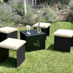 SET DA GIARDINO EVOLUSI