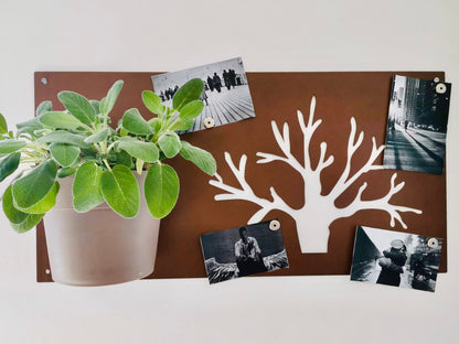 BAUM CON FOTO