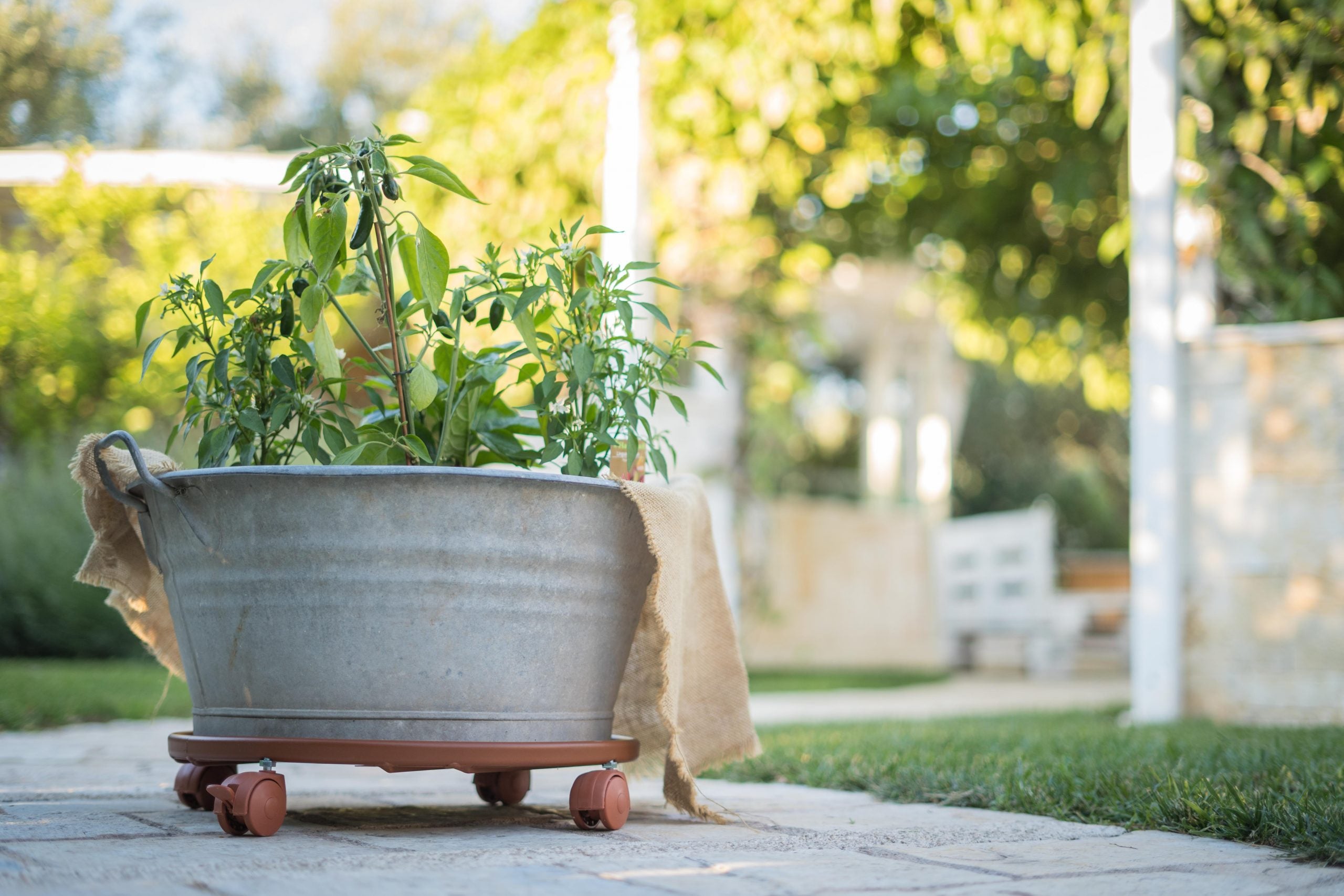 carrelli per trasporto vasi
