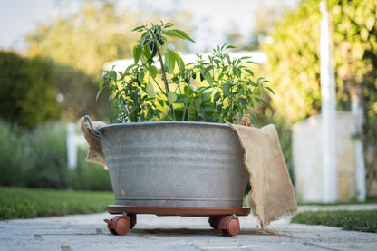 carrelli per trasporto vasi