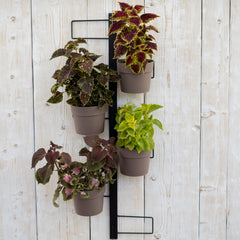IRIS Fioriera a parete Completa Di 6 Vasi Pensili Comby Diametro Cm 14